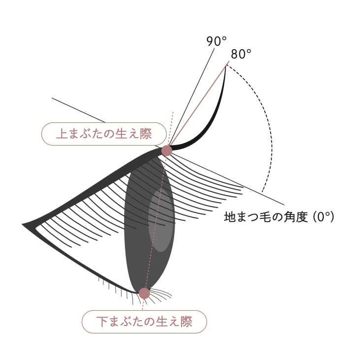 新パリジェンヌラッシュリフト 2.0 特徴